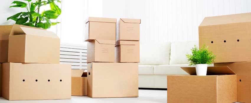 Household Shifting